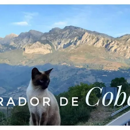 El Mirador De Cobena Ii. Aires De Liebana En Picos Cobena (Cantabria)