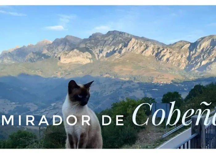 El Mirador De Cobena Ii. Aires De Liebana En Picos Cobena (Cantabria)